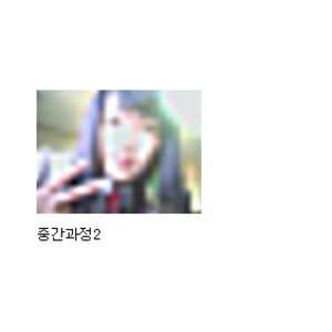 달구새기의 사진으로 모자이크 제거시도