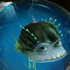 minion5.gif