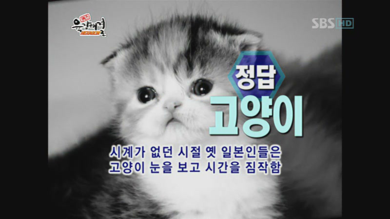 퀴즈육감대결[3] E25 071021 KOR HDTV 450p x264-근가[(059940)22-06-35].JPG