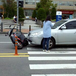 안녕 늬들아 드디어 짐승이.... 사고가났엉 ㅠㅠ