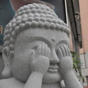 아놔 시발 요새 빠가가된 느낌...