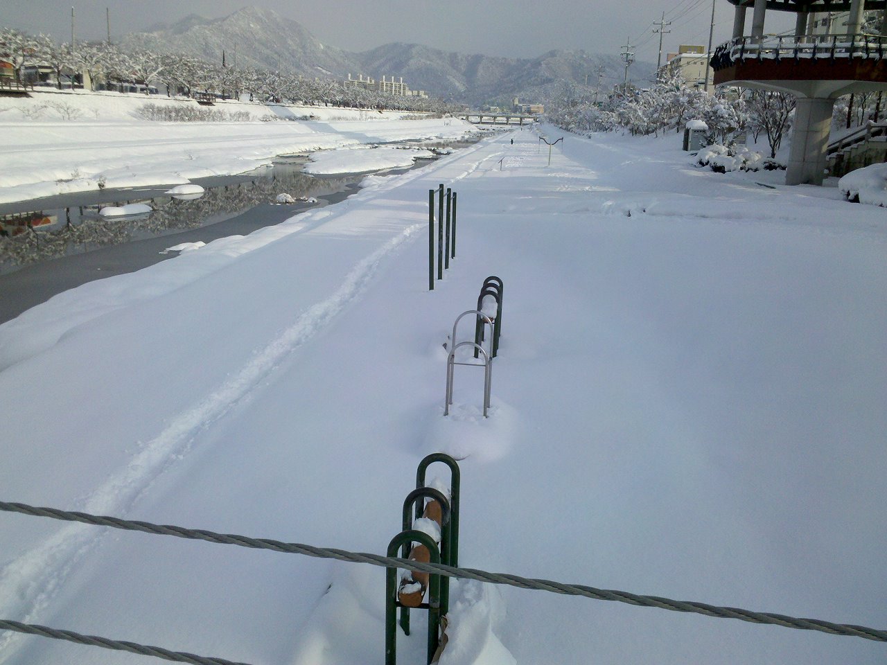 2010-12-31_15-08-05_342.jpg