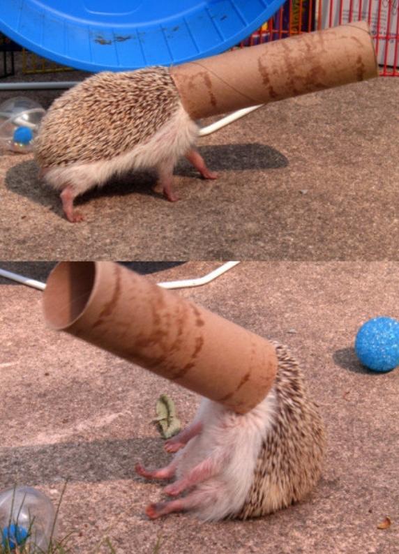 잉이잉잉이게뭐임.jpg