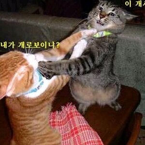 나두 퇴덕해야겠다