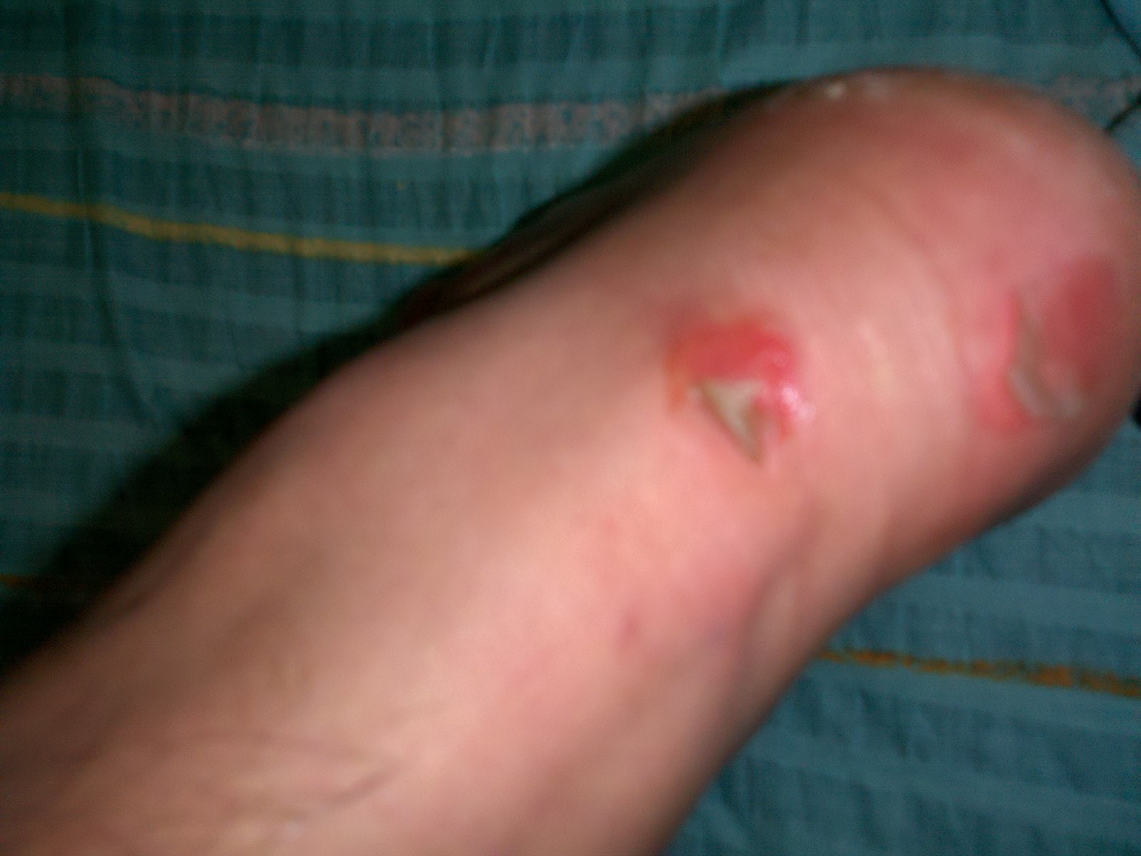 2010-09-17_20-28-56_478.jpg