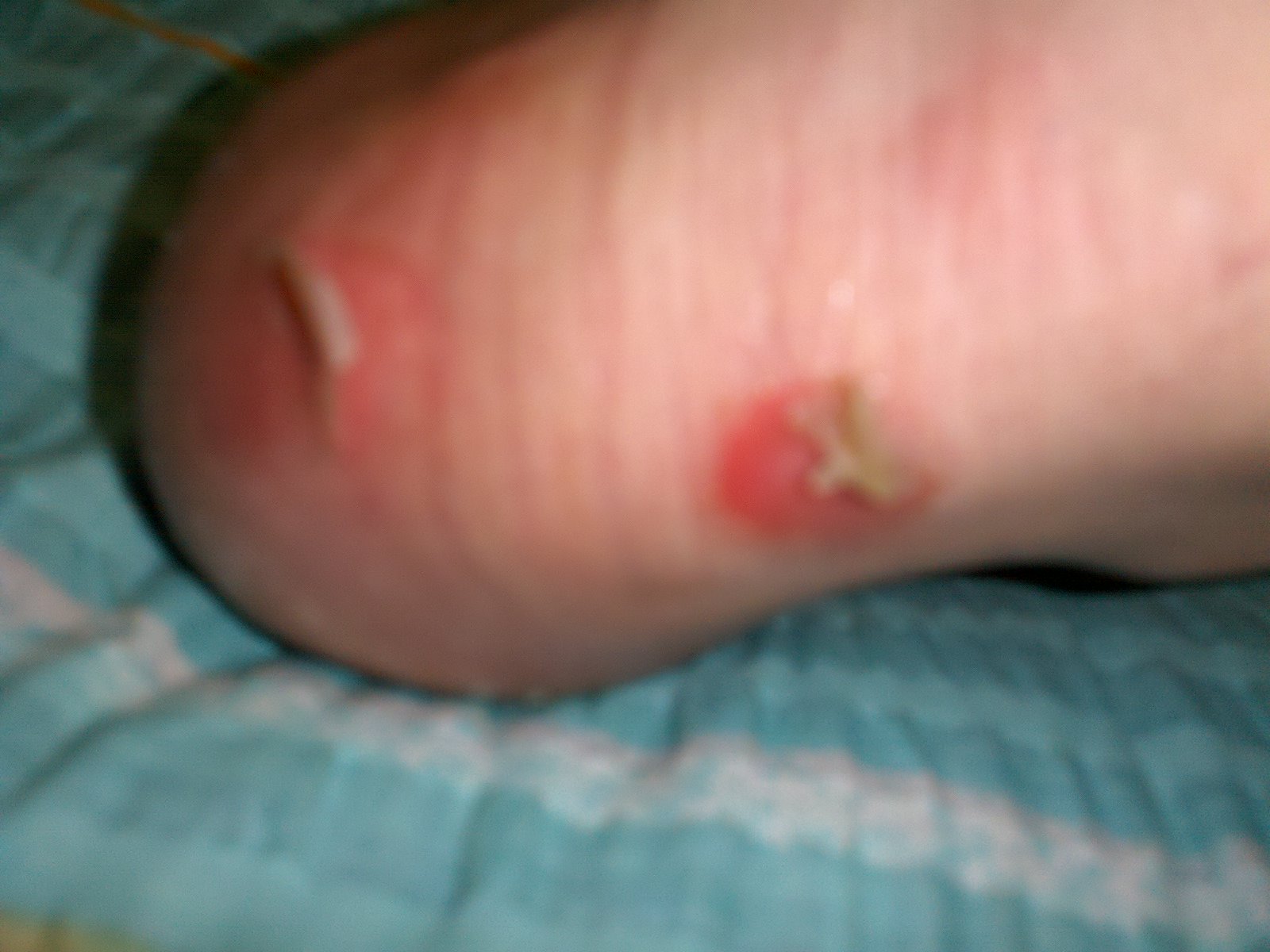 2010-09-17_20-29-43_440.jpg