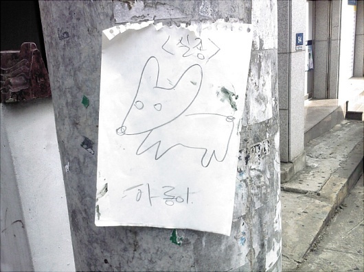 하롱이.jpg