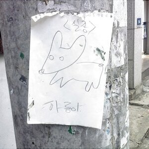 이거 뭐지