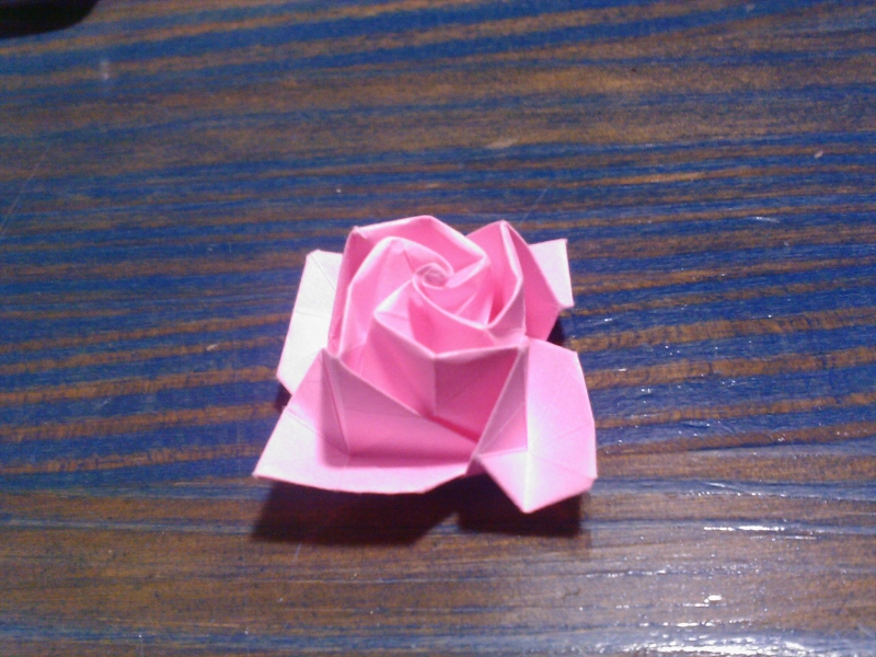 사진100801_002.jpg