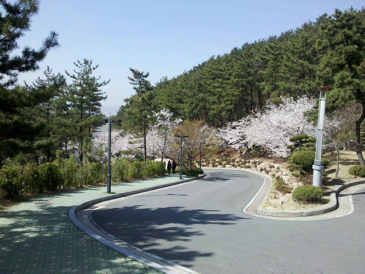 C360_2011-04-12 09-58-44_org.jpg