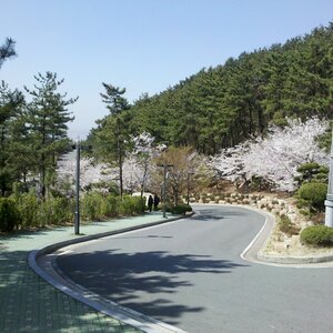 아 호로리 짤방 거슬리네 ㅠ