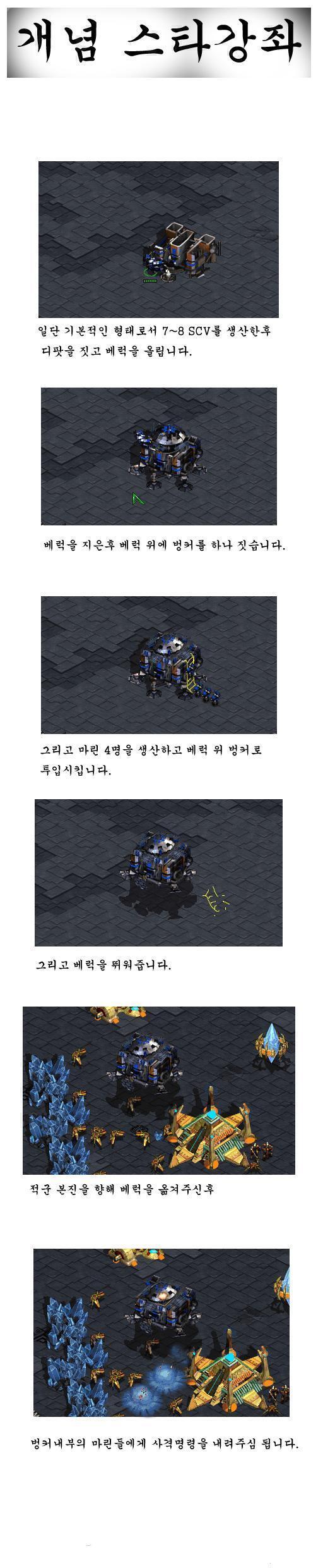 1010.jpg