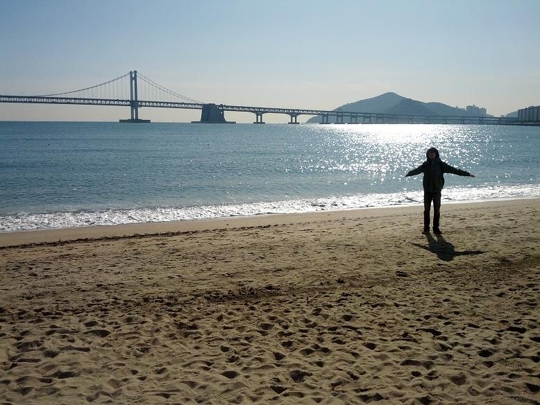 광안리 갈매기.jpg