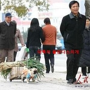 파트랏슠ㅋㅋㅋㅋㅋ