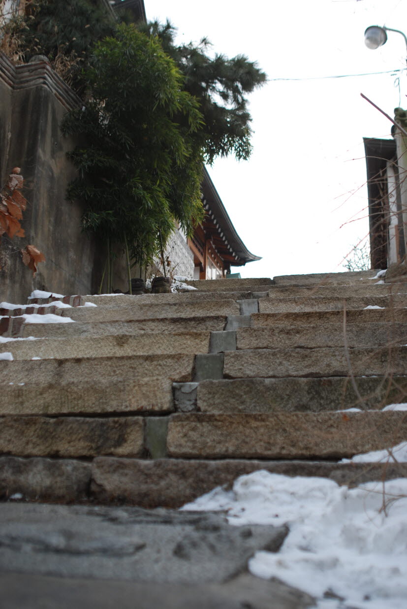 DSC_0300.JPG