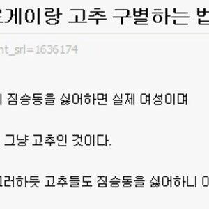 그분님 공지 신청 부탁 드립니다.