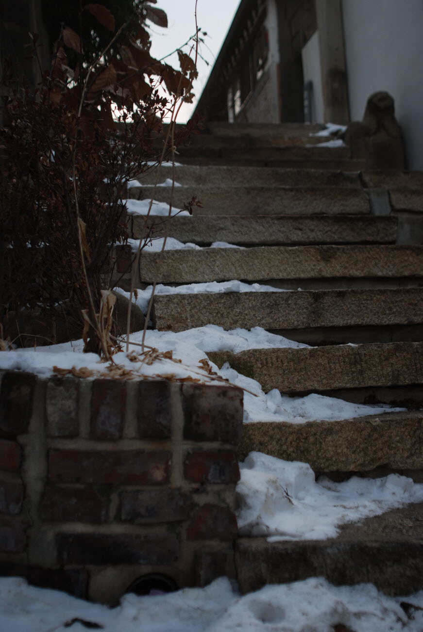 DSC_0301.JPG