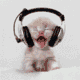avatar-7677.gif