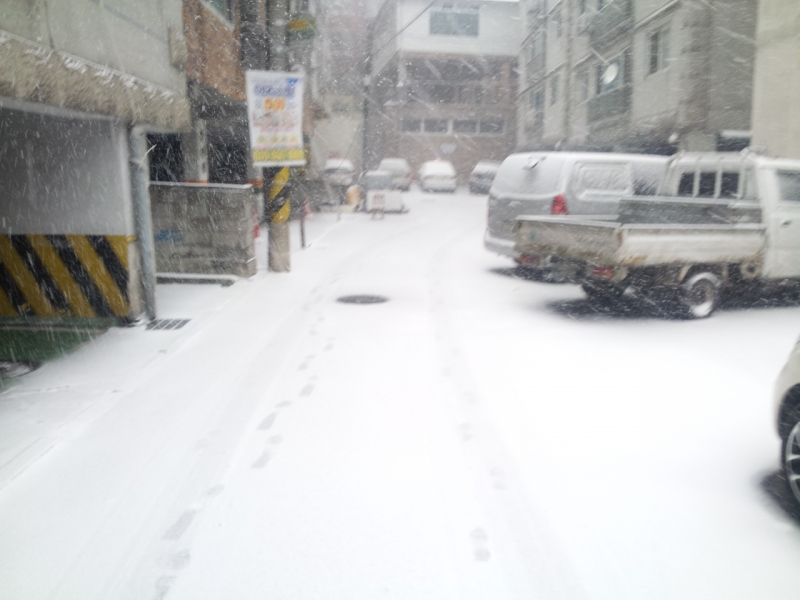 DSC_0101~01.JPG