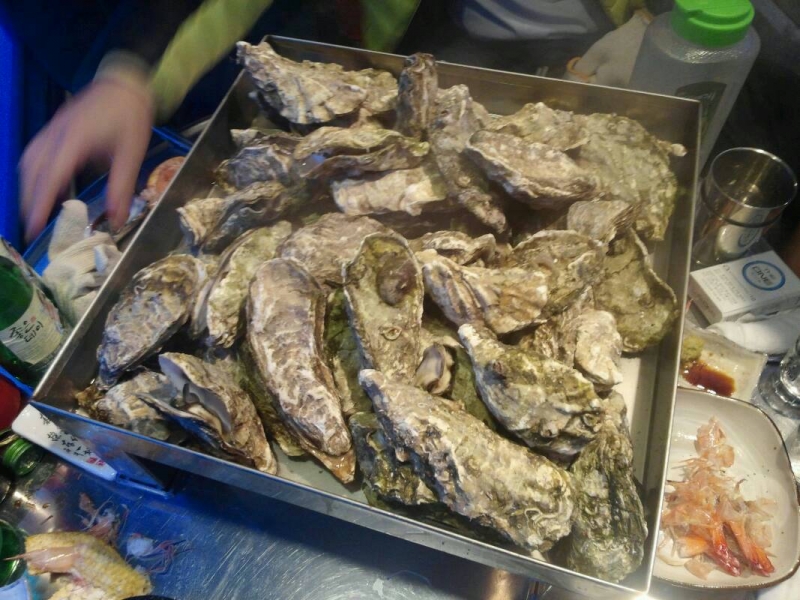 img20131113_172719.jpg