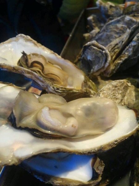 img20131113_172743.jpg