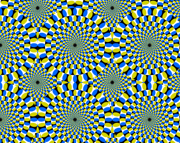 rotsnake_cropped.jpg
