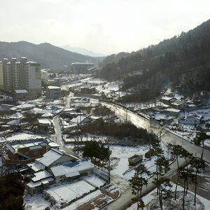 여기 눈 마니옴