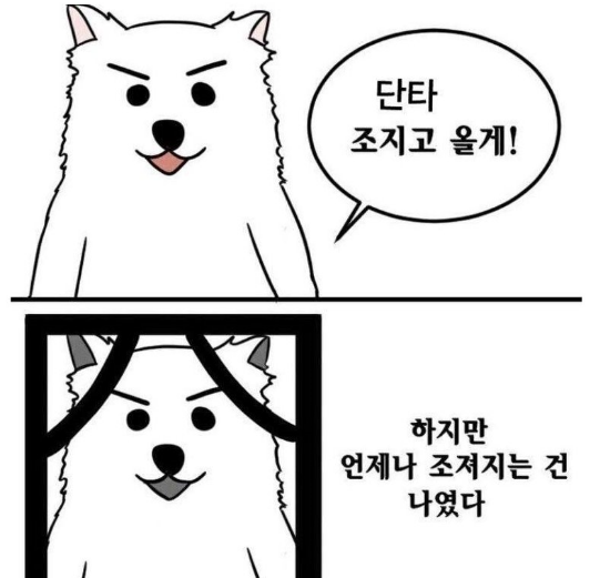 freeboard_72464366.png