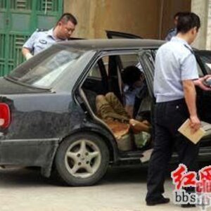 대륙의 다크템플러