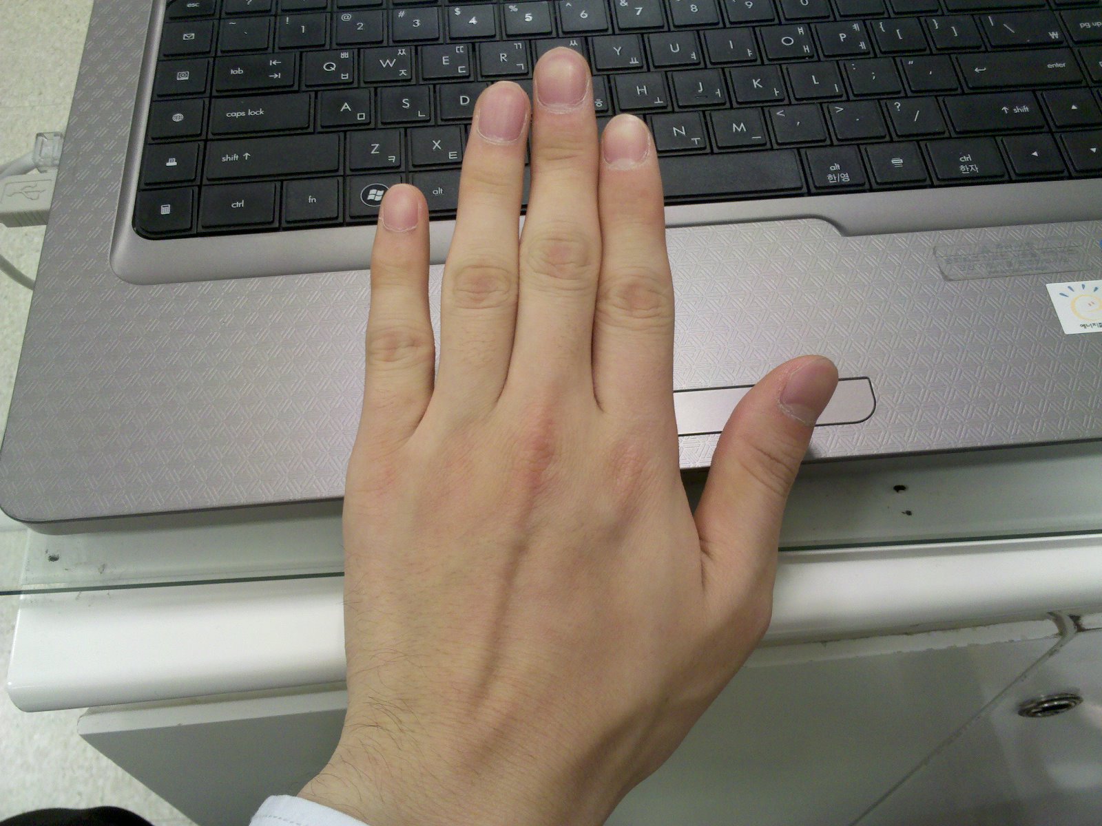 2011-04-21_12-38-52_806.jpg