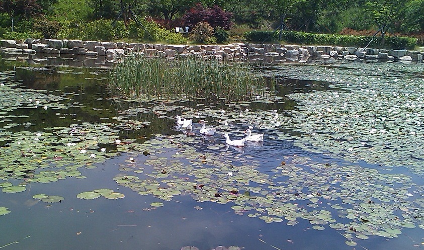 IMAG0012.jpg