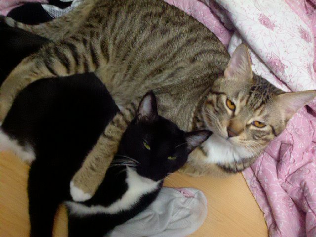 2011-01-05_10-42-20_960.jpg