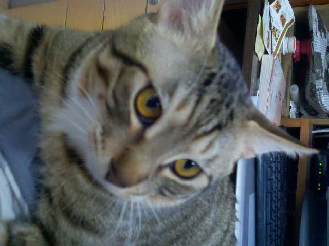 2011-01-09_10-24-43_745.jpg