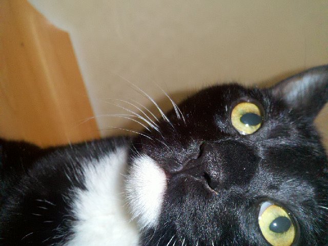 2011-01-10_06-09-23_835.jpg