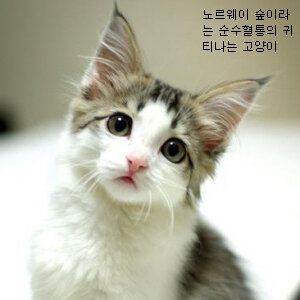 어르신들 주무세여
