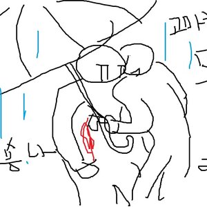 숑나는 봅니다