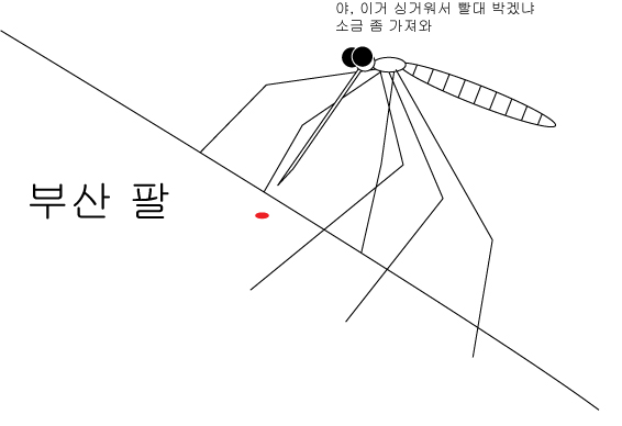 보이스피싱.jpg