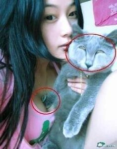 고양이 귀엽네