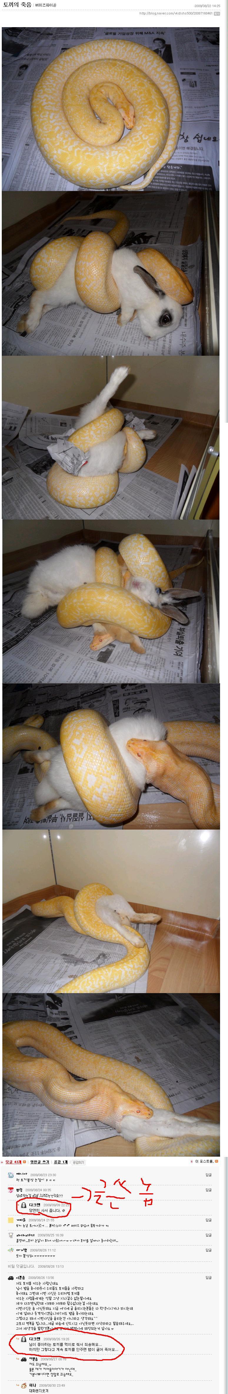 토끼의죽음.jpg