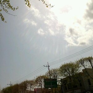 날이 짱 조음