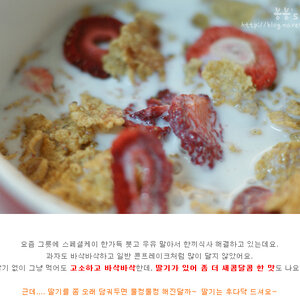 어제 산 스페셜케이...