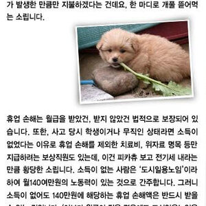 미음미음