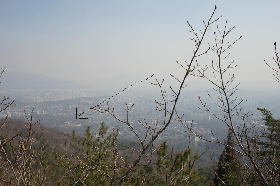 -04017781.JPG