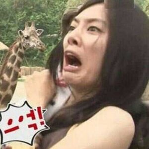 야