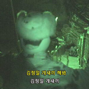 상근은 뭐하는 종족이냐?