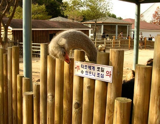 대체_뭐라고_써있길래_난_먹이도_안줘.jpg