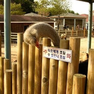 대체 뭐라고 써있길래 난 먹이도 안줘