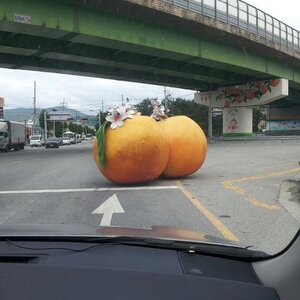 복숭아의 고장.jpg