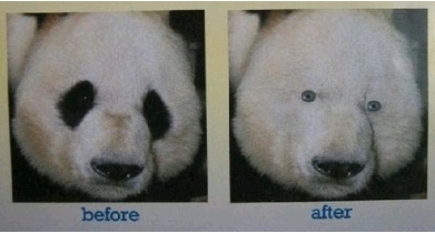 1289910418.jpg
