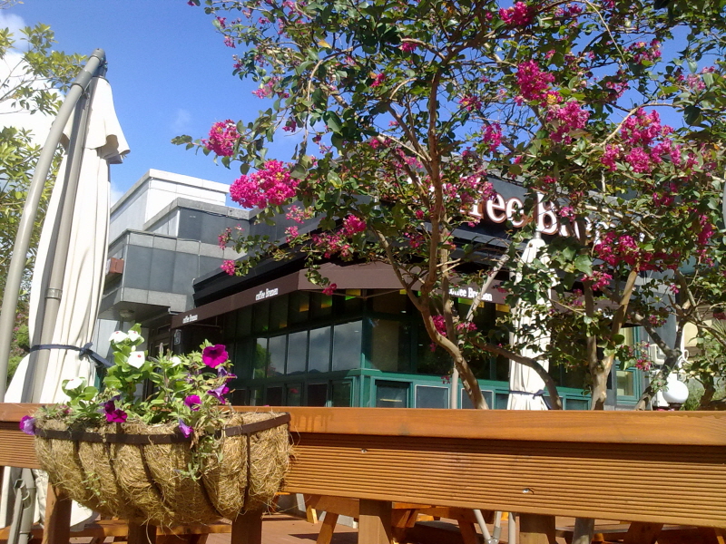 20100923080.jpg